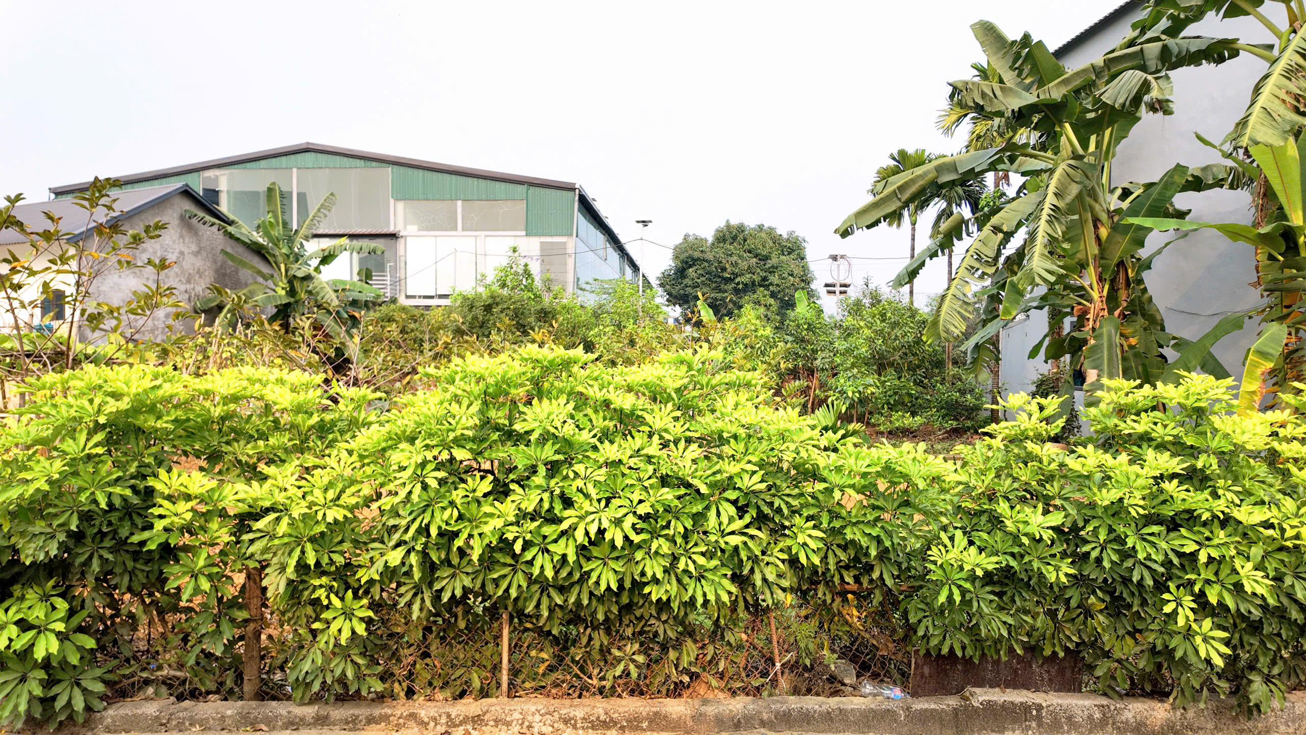 Chỉ 13,5tr.m2. Bán lô đất phú cát, quốc oai, hà nôi.150m2 full thổ cư, mặt tiền 7,5m