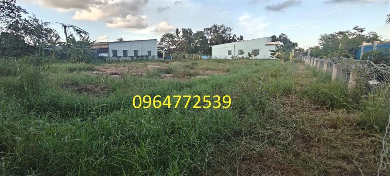 LÔ ĐẤT ĐẸP – GIÁ TỐT- Chính Chủ Cần Bán Đất tại Xã Bình Xuân, Gò Công, Tiền Giang