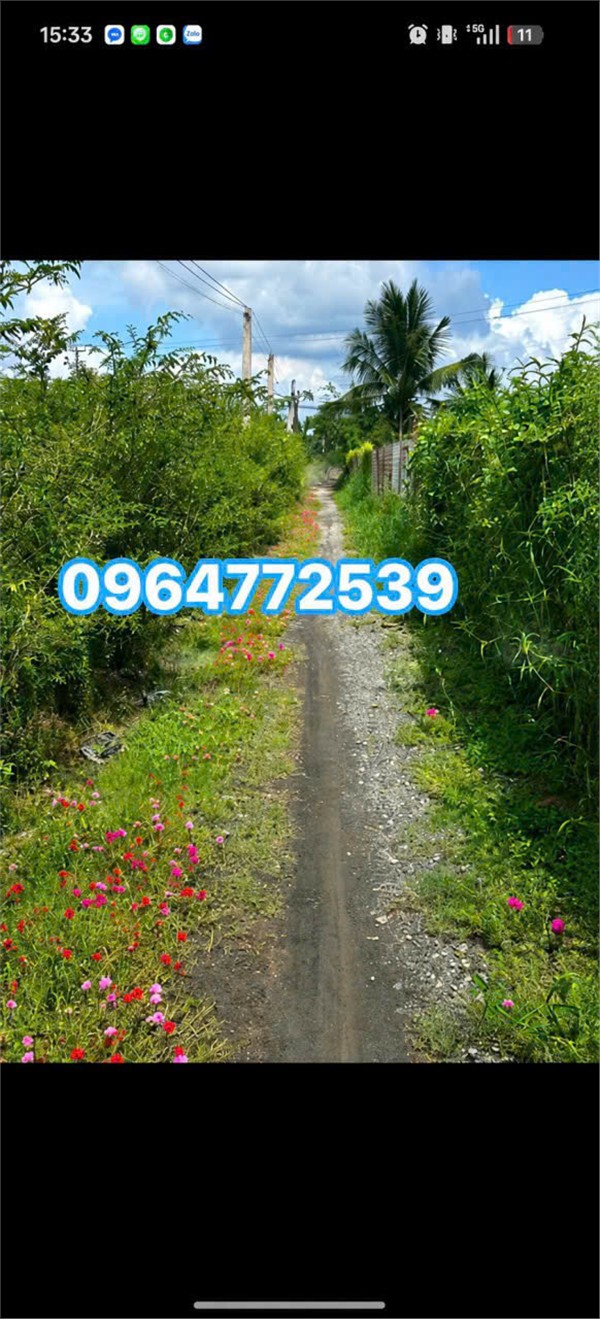 LÔ ĐẤT ĐẸP – GIÁ TỐT- Chính Chủ Cần Bán Đất tại Xã Bình Xuân, Gò Công, Tiền Giang-3