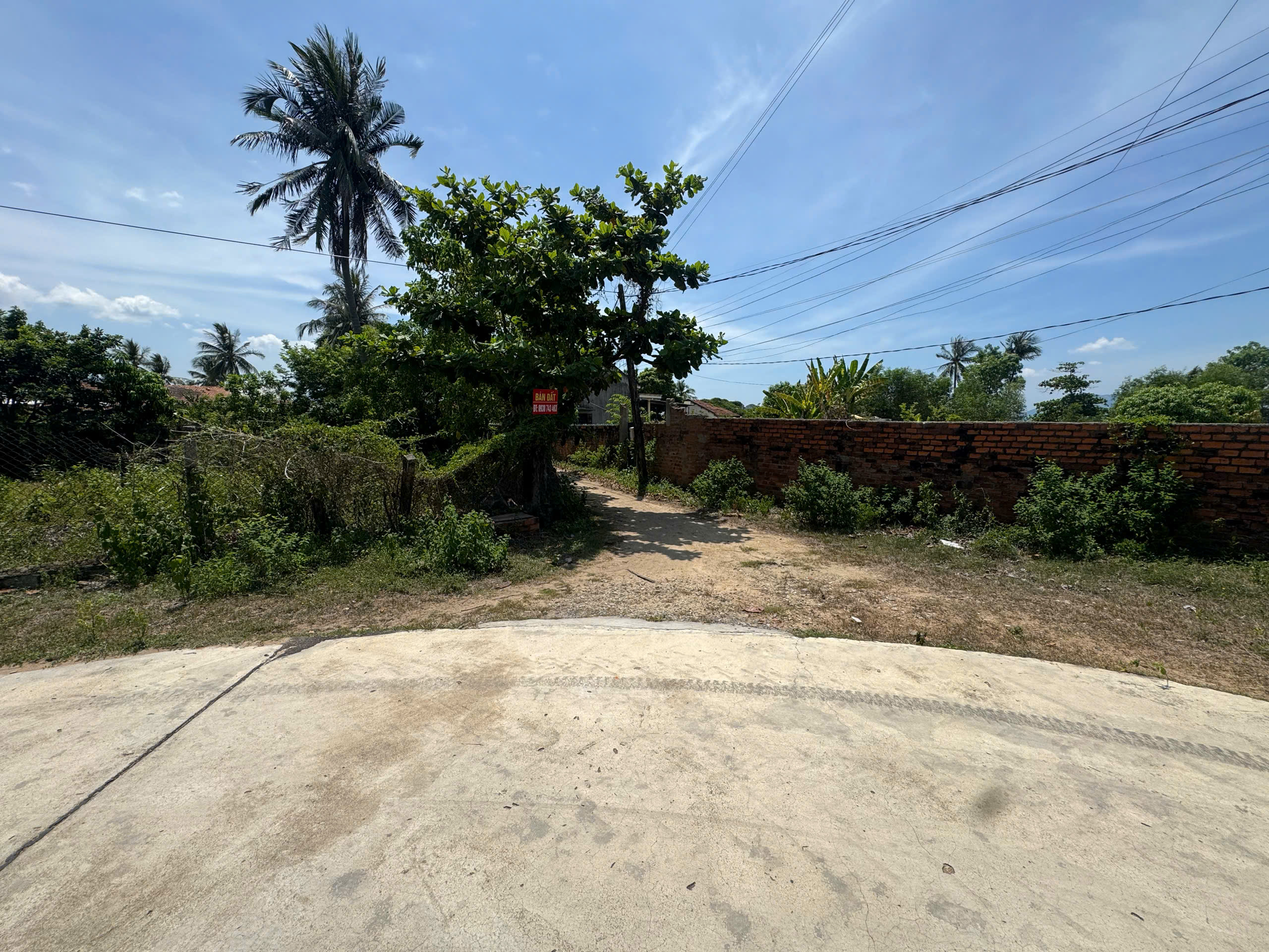 CHÍNH CHỦ CẦN TIỀN BÁN GẤP LÔ ĐẤT VƯỜN BIỆT THỰ ĐẸP TẠI TÂN ĐỨC ĐỒNG - VẠN LƯƠNG