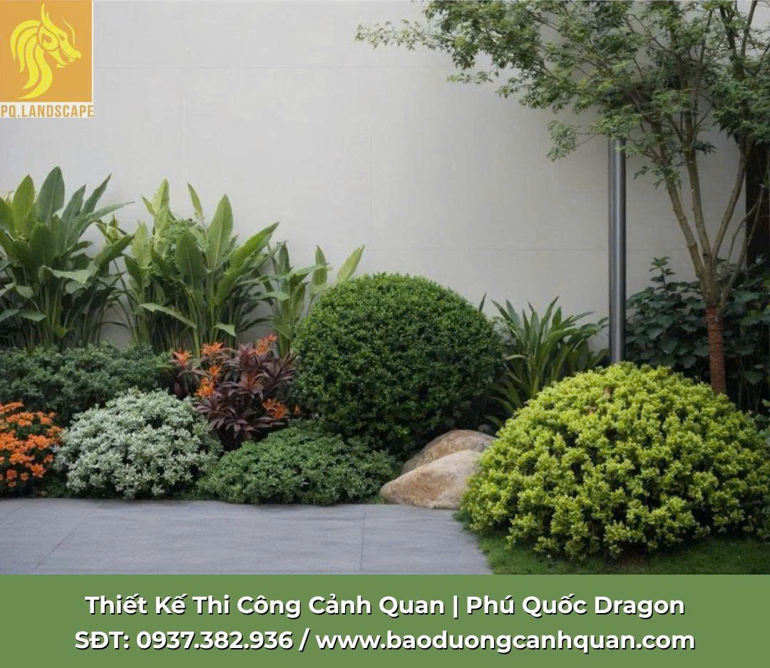 CẮT TỈA CÀNH NHÁNH CÂY XANH – GIẢI PHÁP GIỮ GÌN CẢNH QUAN AN TOÀN & THẨM MỸ TẠI PHÚ QUỐC DRAGON
