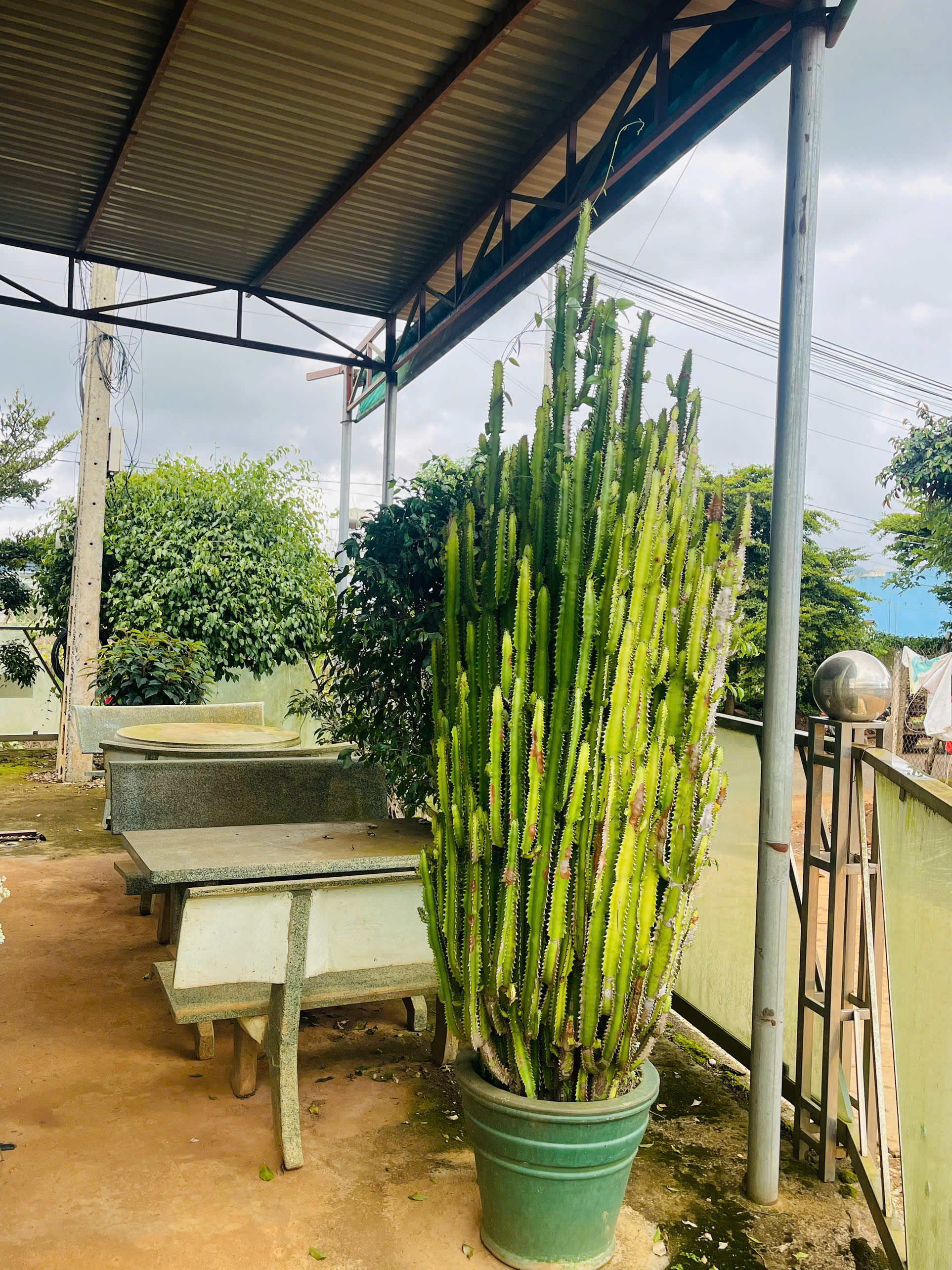 CHỦ NGỘP HẠ GIẢM 400 TRIỆU – LÔ GÓC 2 MẶT TIỀN ĐƯỜNG DÀI THẾ DƯƠNG, QUẢNG LẬP, ĐƠN DƯƠNG-4