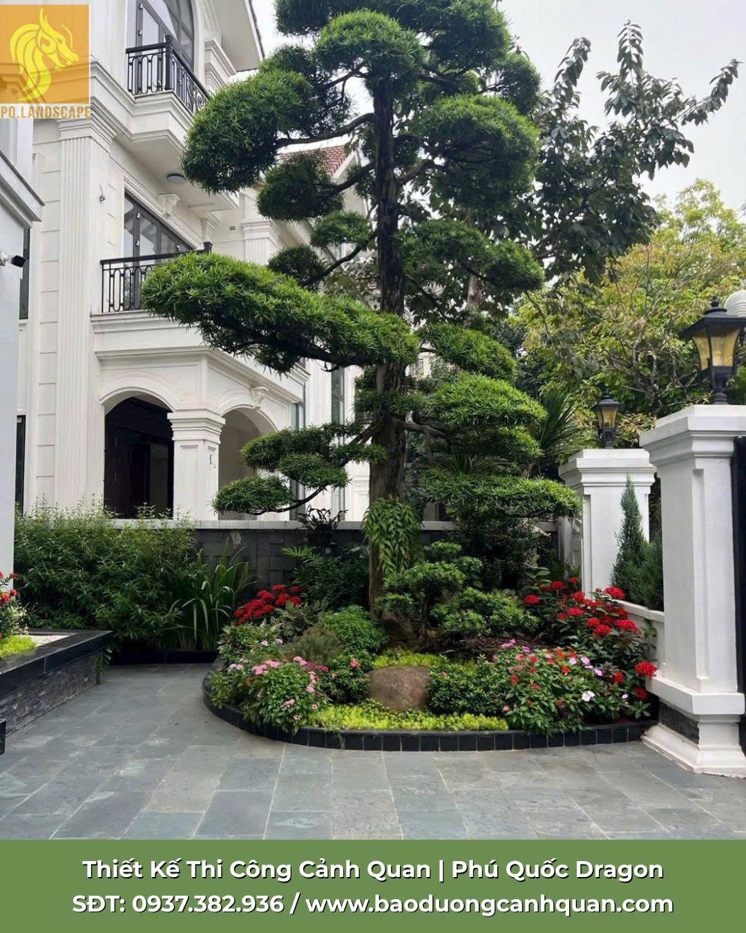 Dịch vụ cắt tía cành nhánh - chăm sóc cây xanh chuyên nghiệp-3
