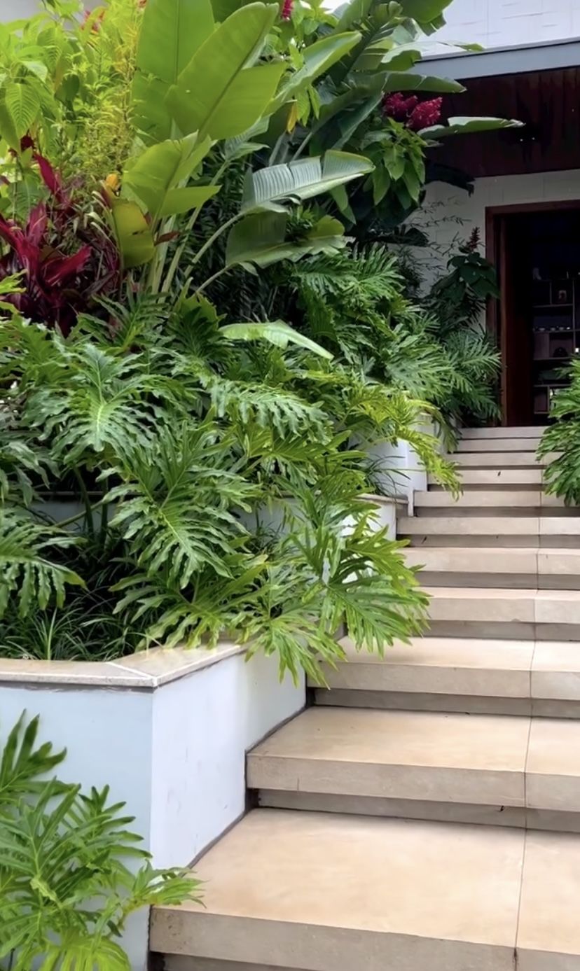 Dịch vụ cắt tỉa cành nhánh -  chăm sóc cây xanh chuyên nghiệp