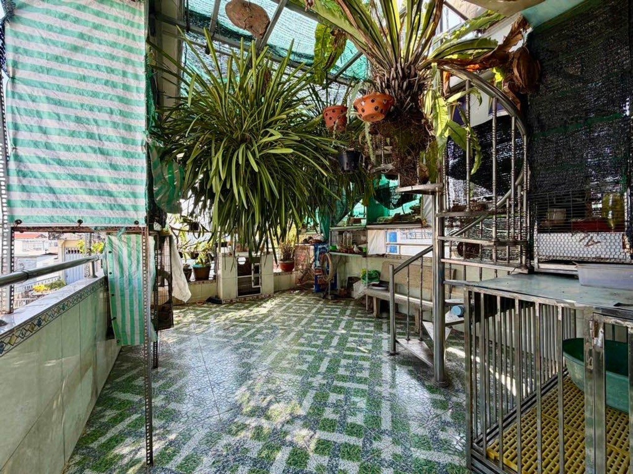 [K2574*] Sẵn nhà đúc 5 tầng sát Chợ Tân Bình, 69m2 giá 11.x tỷ-3