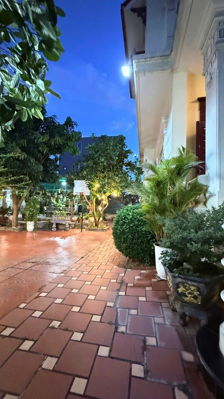 🏡Biệt thự Sao Đỏ - Anh Dũng II- Chân Cầu Rào 2 - 4 Tầng 400M G.iá 23.8 tỷ-3