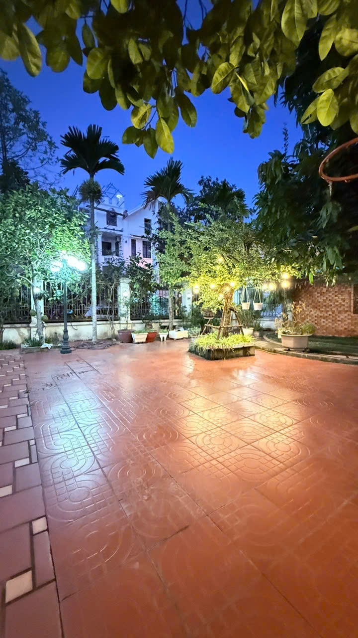 🏡Biệt thự Sao Đỏ - Anh Dũng II- Chân Cầu Rào 2 - 4 Tầng 400M G.iá 23.8 tỷ-5