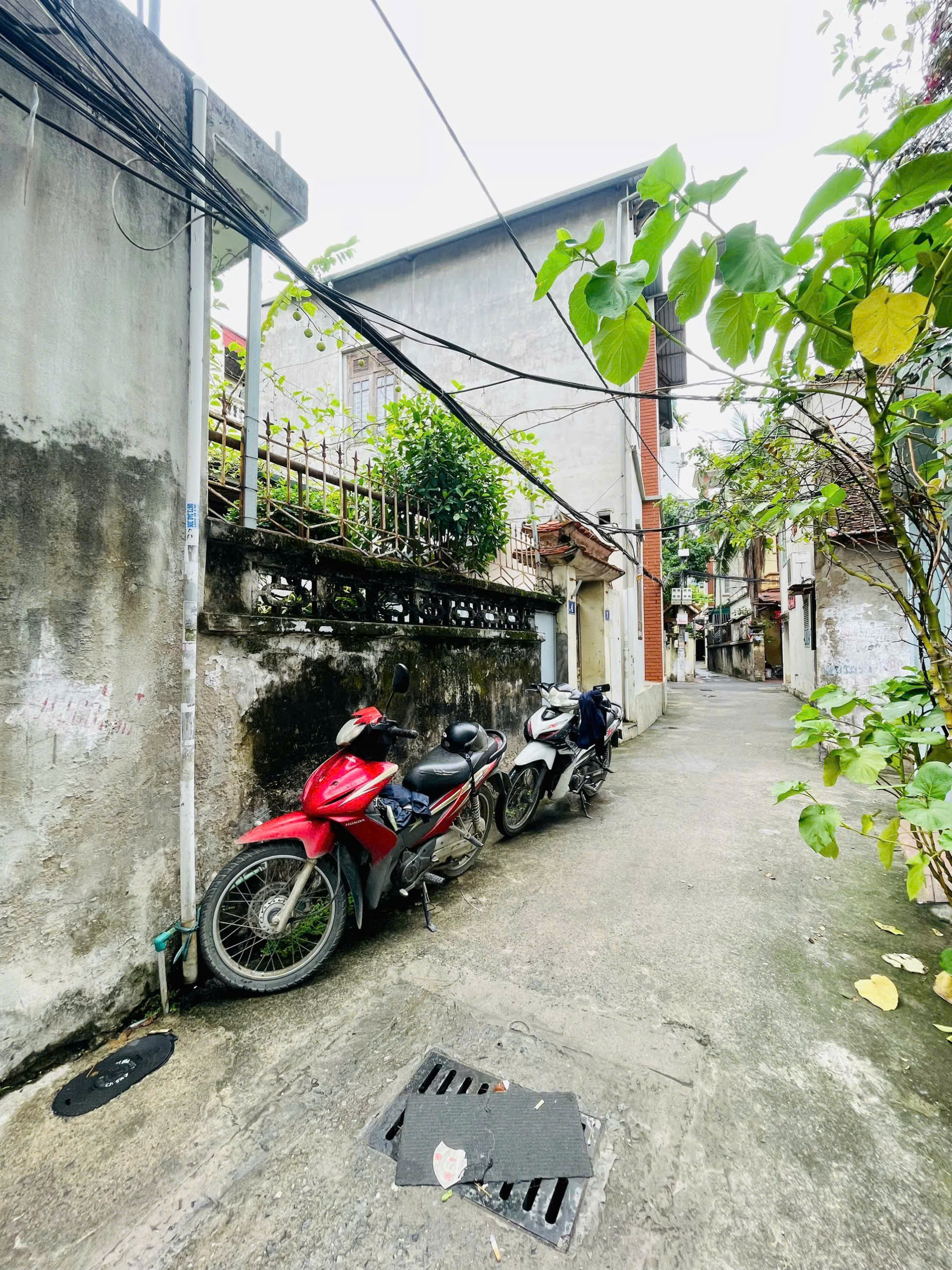 Bán đất nguyễn chính 51M ô tô đỗ cửa hoàng mai