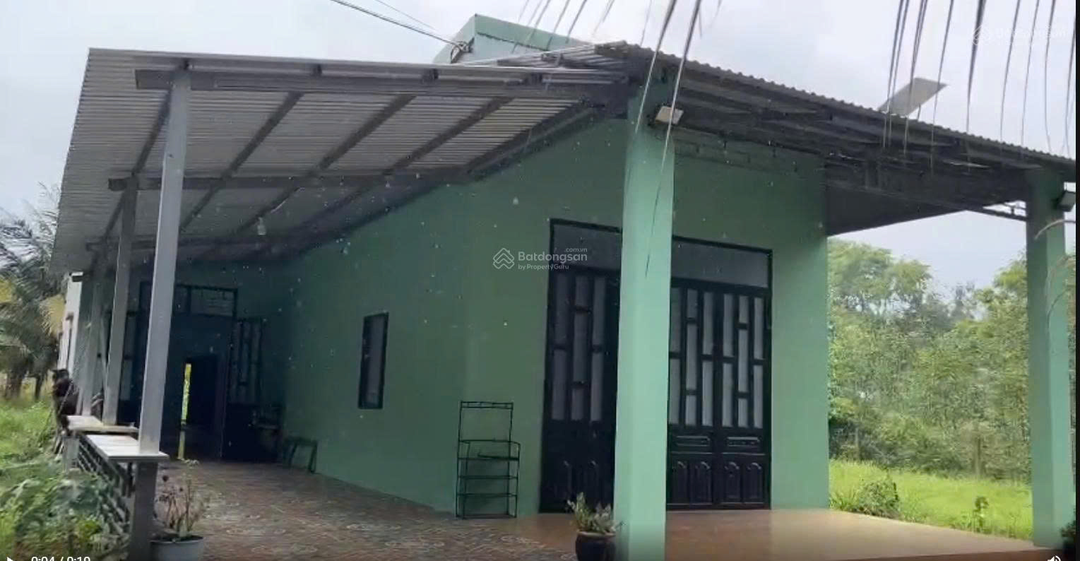 CHÍNH CHỦ BÁN HOẶC CHO THUÊ NHÀ VƯỜN 1.600m² – KHÔNG GIAN XANH LÝ TƯỞNG CHO NGHỈ DƯỠNG, LÀM HOMESTAY HOẶC CANH TÁC