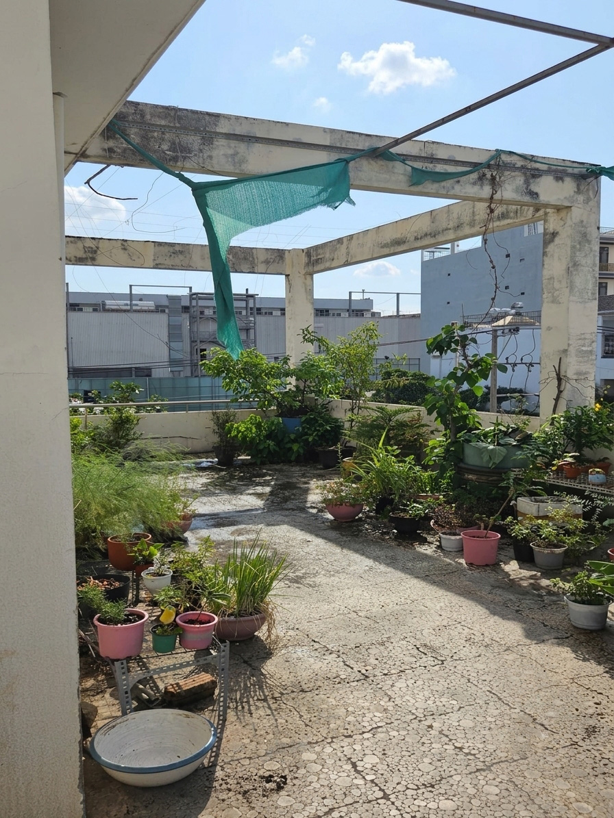 [D2577*] Biệt thự lô góc 586m2 sân vườn đẳng cấp, sát Gigamall Phạm Văn Đồng, giá 8x tỷ!-3