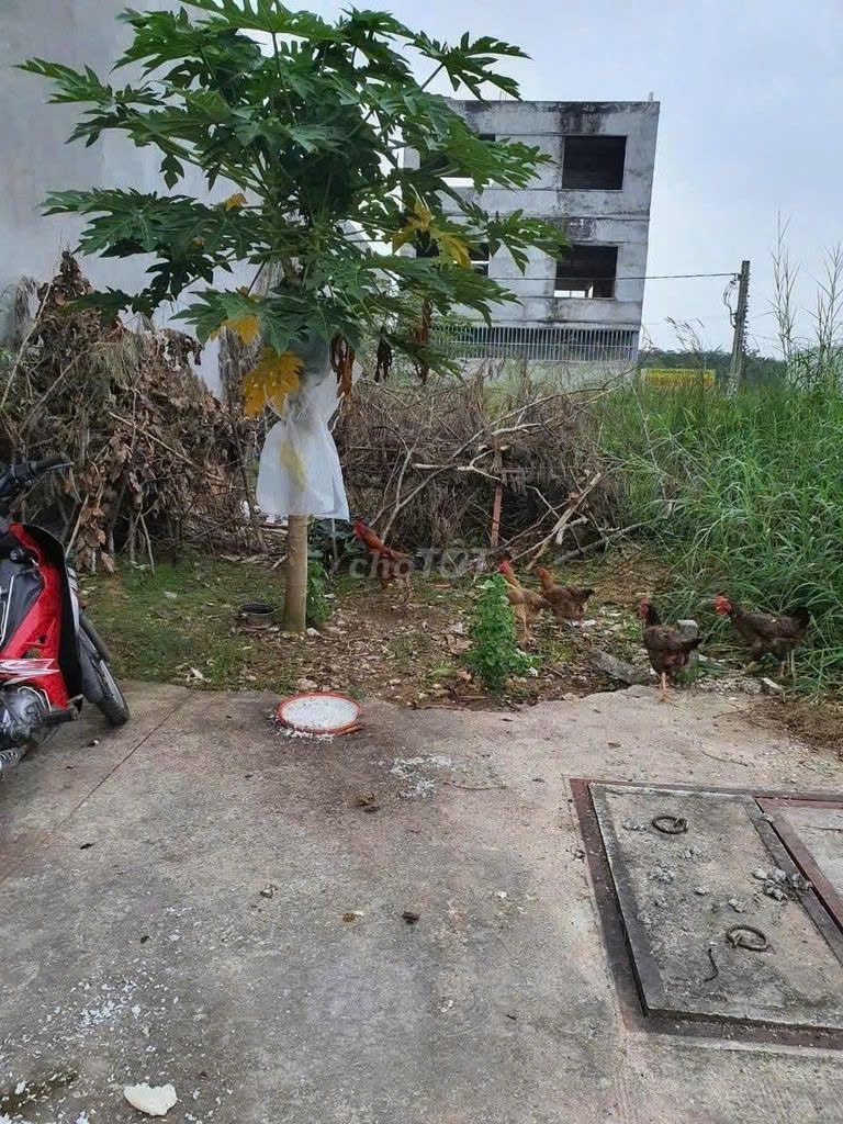 ĐẤT ĐẸP – GIÁ TỐT- CHÍNH CHỦ CẦN BÁN ĐẤT Tại  Xã Vĩnh Tân, Thị xã Tân Uyên, Bình Dương
