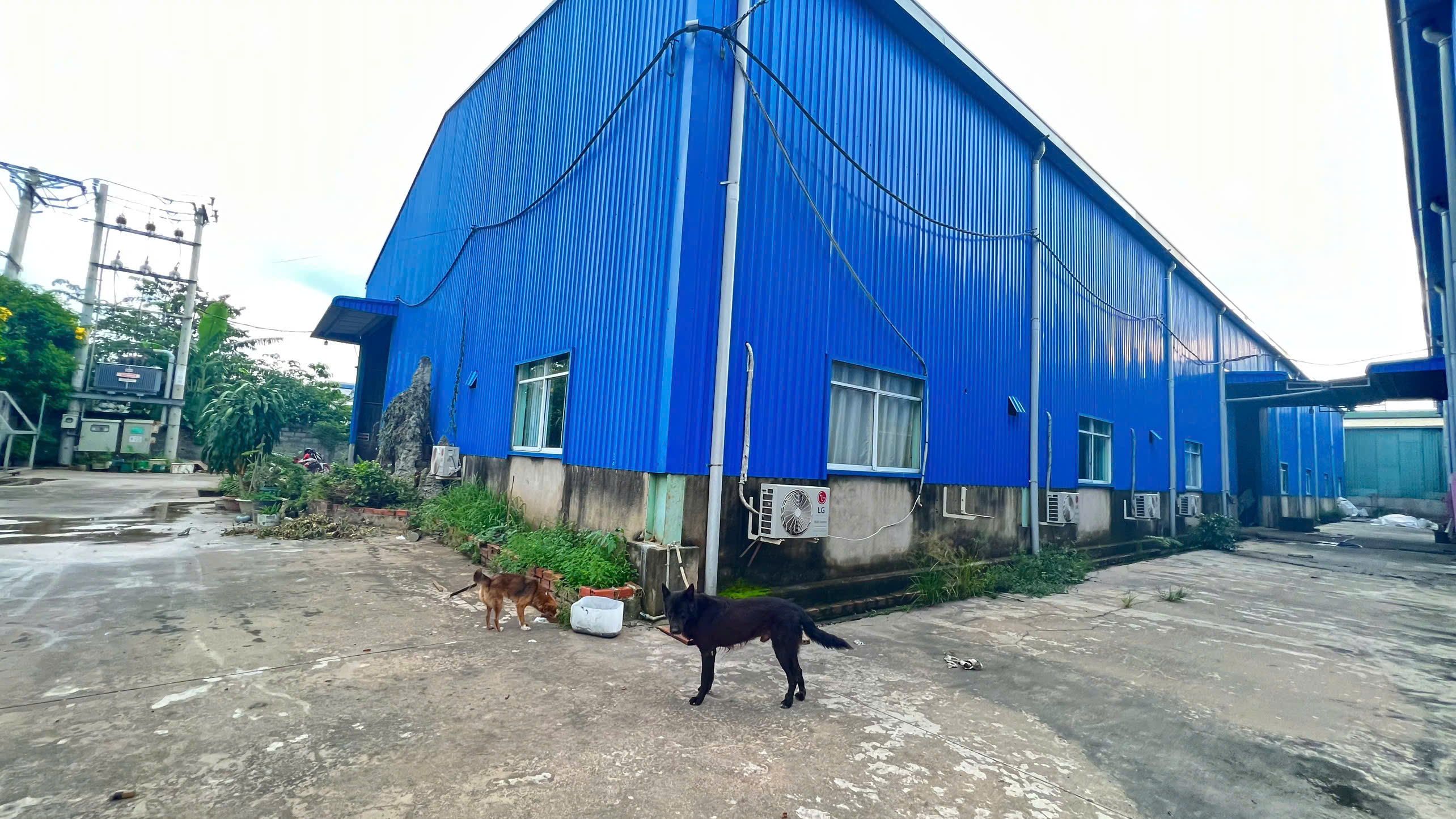 XN362 cho thuê nhà xưởng sản xuất gần nhiều KCN lớn, bàn giao liền, hoạt động SX ngày đêm
