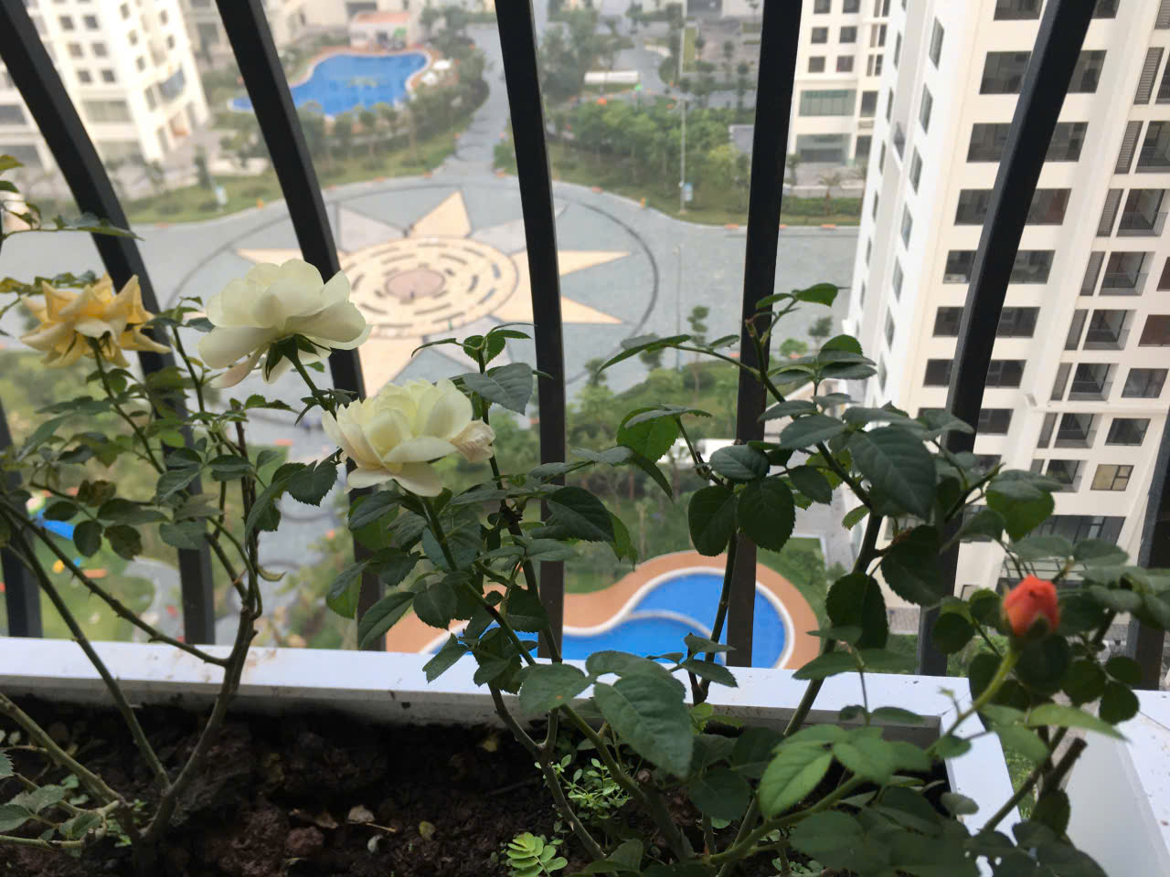 CHO THUÊ CĂN HỘ GÓC AN BÌNH CITY – 82m²  - 2PN + 1 PHÒNG LÀM VIỆC -FULL NỘI THẤT TẠI CỔ NHUẾ 1, BẮC TỪ LIÊM-4