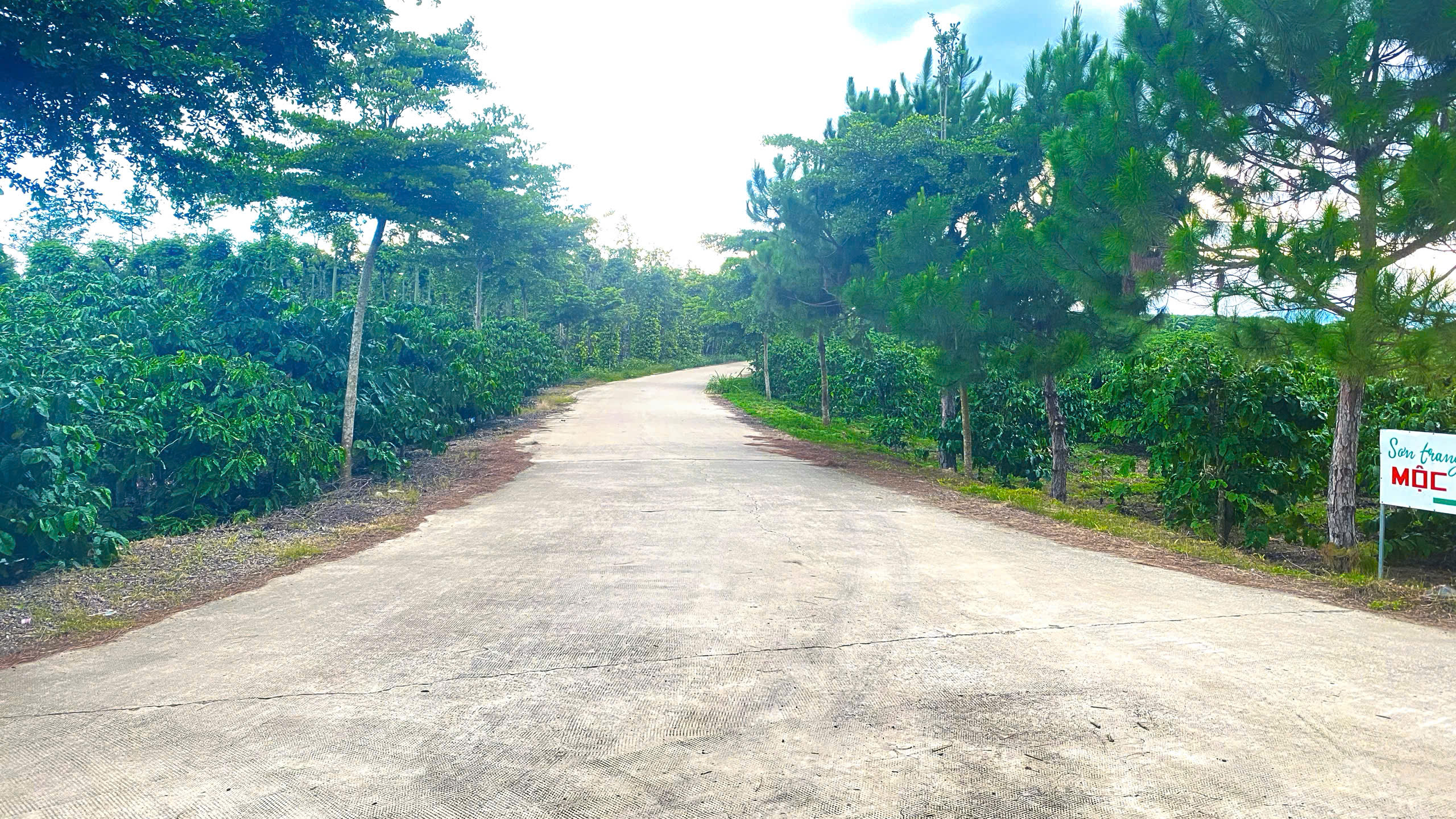 2 sào đất 2 mặt hẻm rộng, gần trung tâm ninh gia, đức trọng cũ, lâm đồng-3