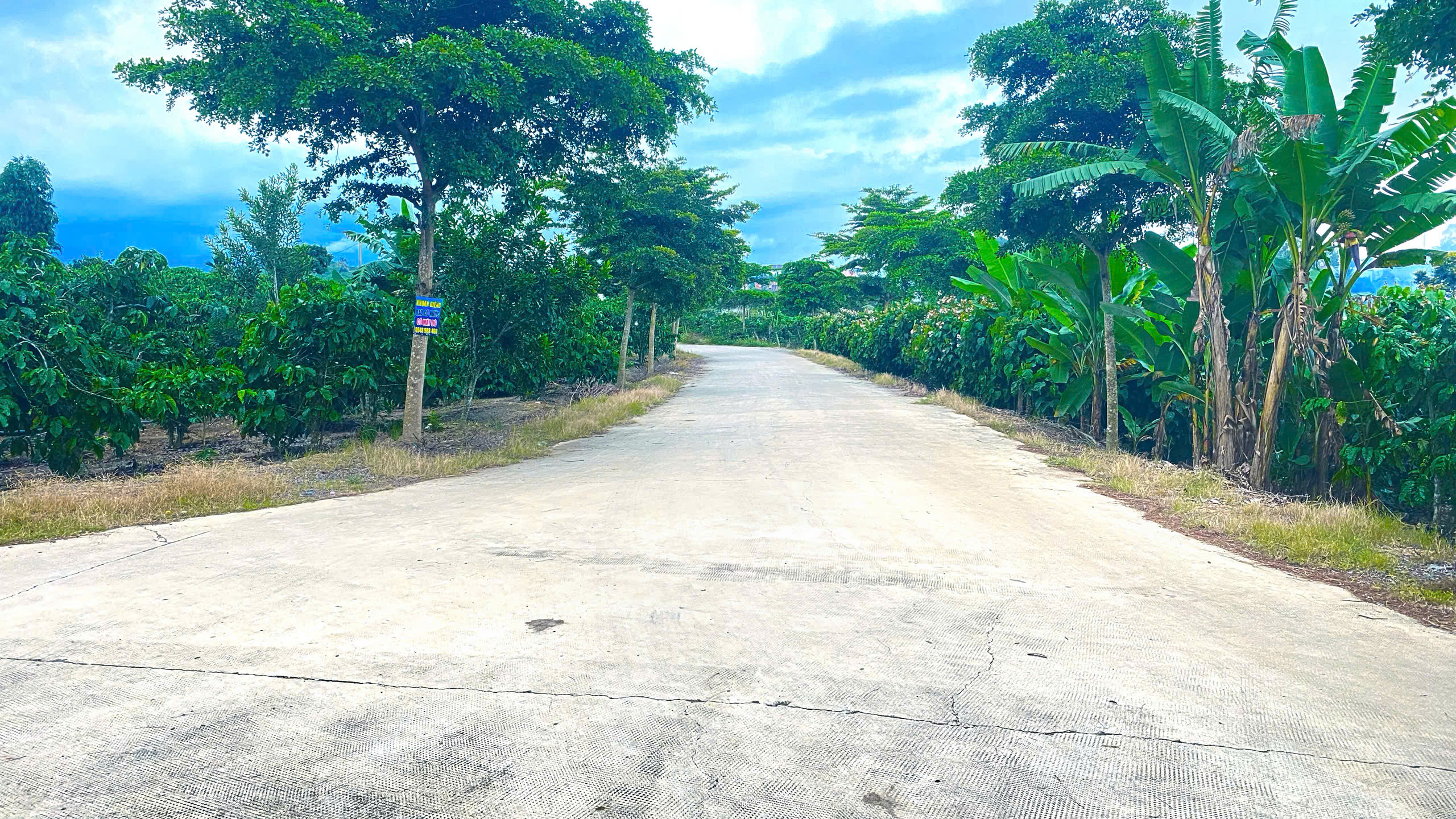 2 sào đất 2 mặt hẻm rộng, gần trung tâm ninh gia, đức trọng cũ, lâm đồng-4
