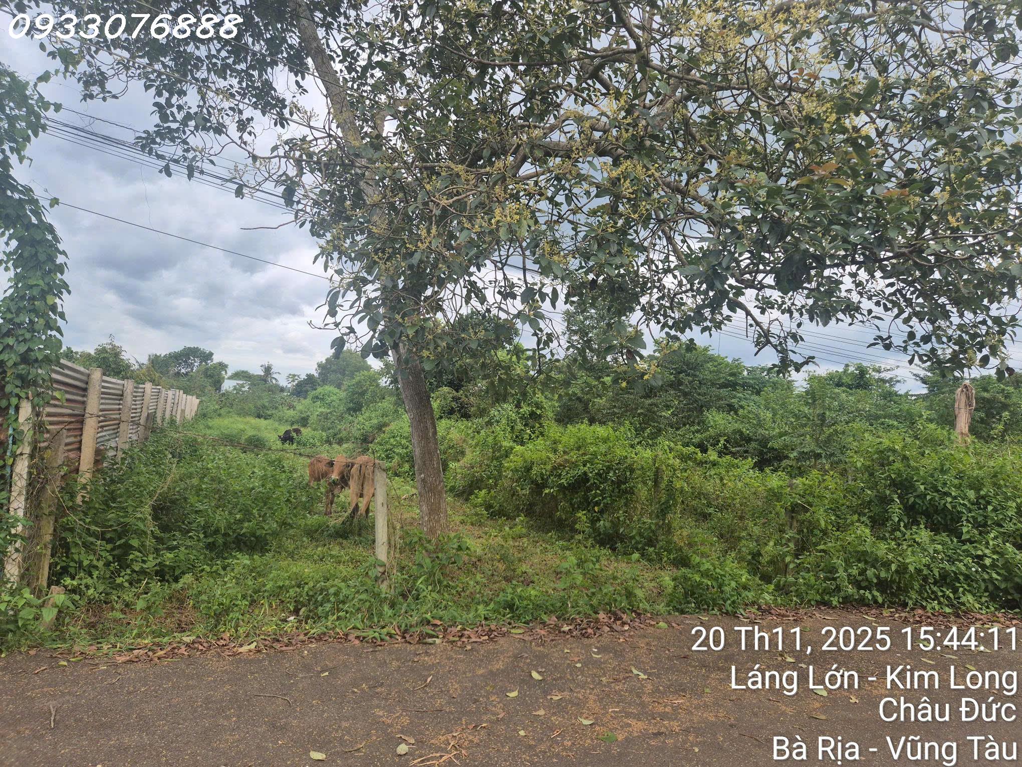 Cần tiền bán nhanh lô đất 325m2 tại Kim Long, Châu Đức, Bà Rịa Vũng Tàu, giá 1,8 tỷ