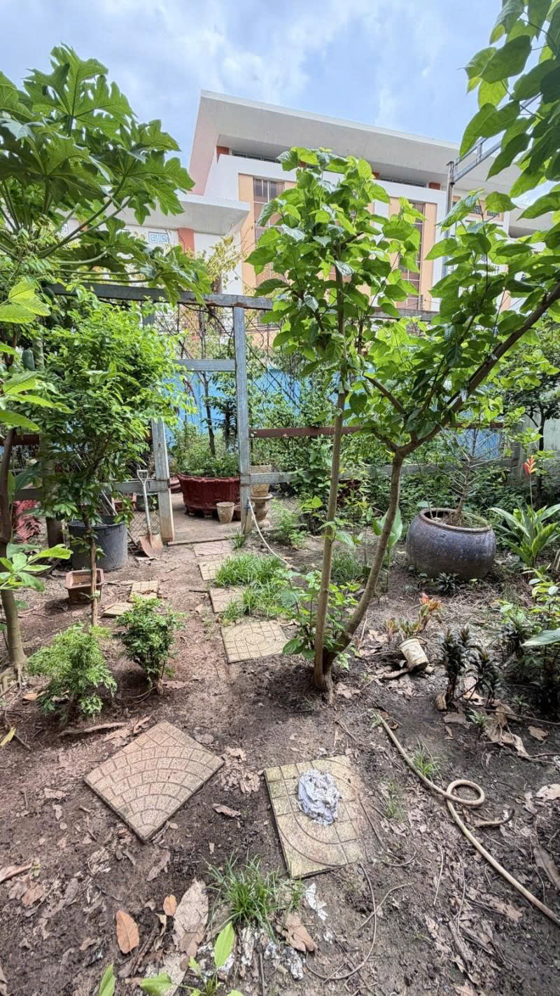 Bán Đất - Mặt tiền hẻm nhựa 10m Lũy Bán Bích, gần Âu cơ, 10x15m, full thổ, Sổ A4, 15,2 Tỷ.