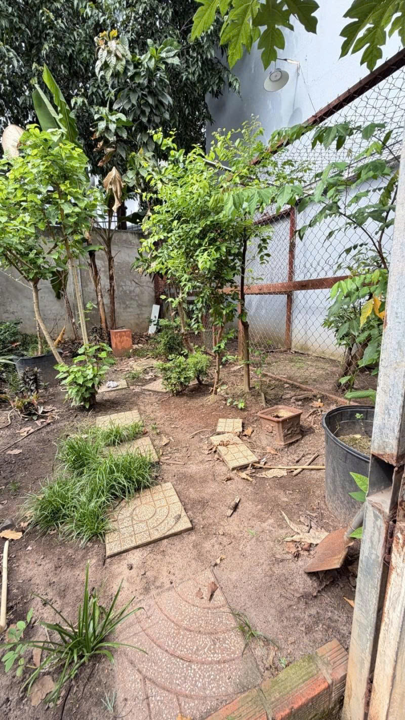 Bán Đất - Mặt tiền hẻm nhựa 10m Lũy Bán Bích, gần Âu cơ, 10x15m, full thổ, Sổ A4, 15,2 Tỷ.-3