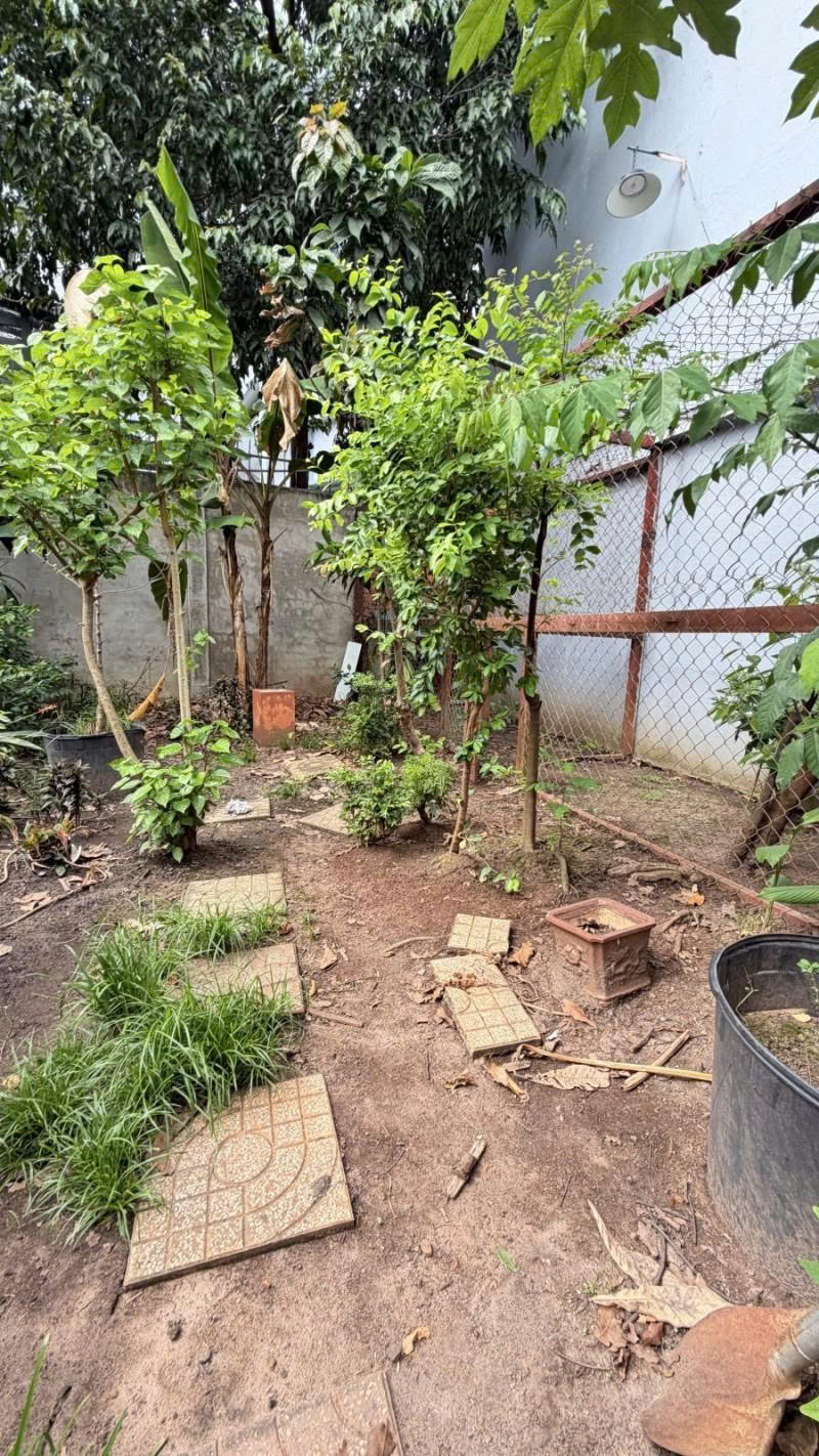 Bán Đất - Mặt tiền hẻm nhựa 10m Lũy Bán Bích, gần Âu cơ, 10x15m, full thổ, Sổ A4, 15,2 Tỷ.-4