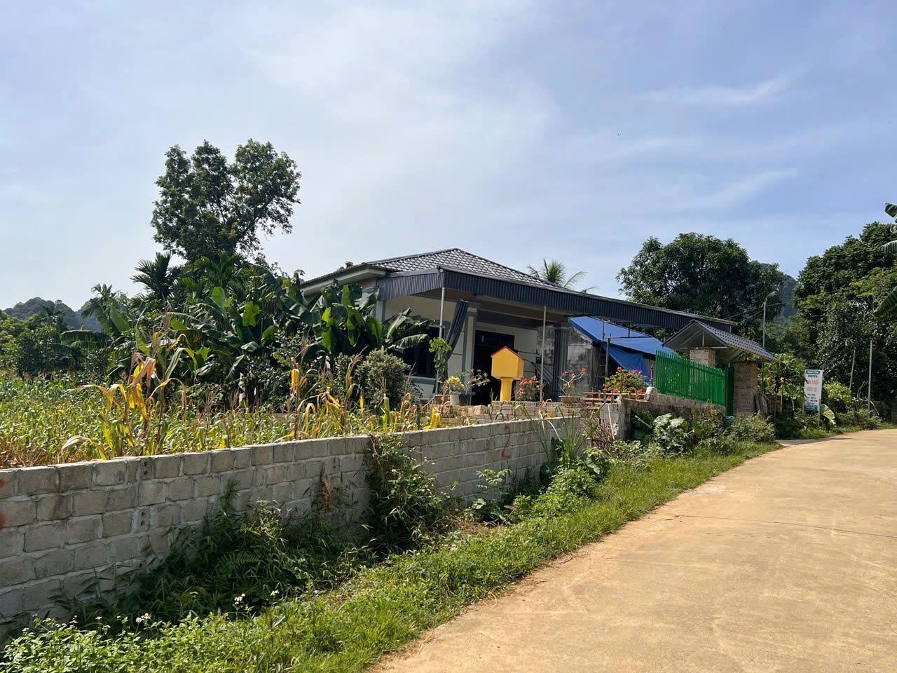 Cần Tiền Xây Nhà Bán Lô Đất 109m2 Full Thổ Cư Mặt Đường Hồ Chí Minh, Lương Sơn, Hòa Bình-3