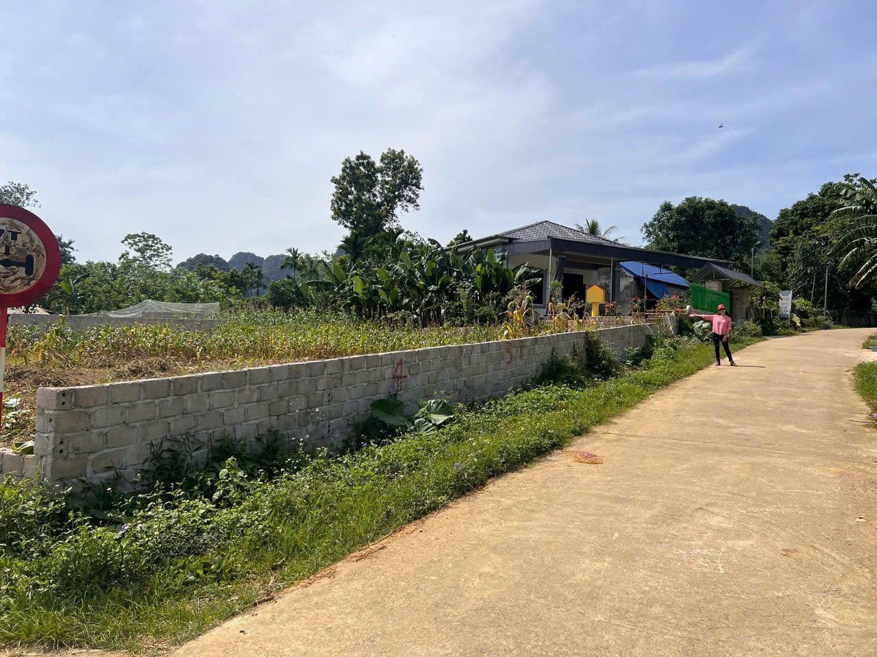 Cần Tiền Xây Nhà Bán Lô Đất 109m2 Full Thổ Cư Mặt Đường Hồ Chí Minh, Lương Sơn, Hòa Bình-4