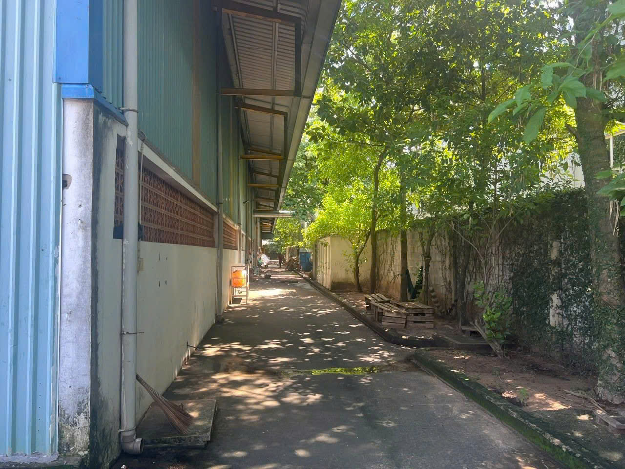 XN367 cho thuê nhà xưởng sản xuất Ngoài KCN, với đầy đủ pháp lý, sẵn xưởng vận hành ngay-3