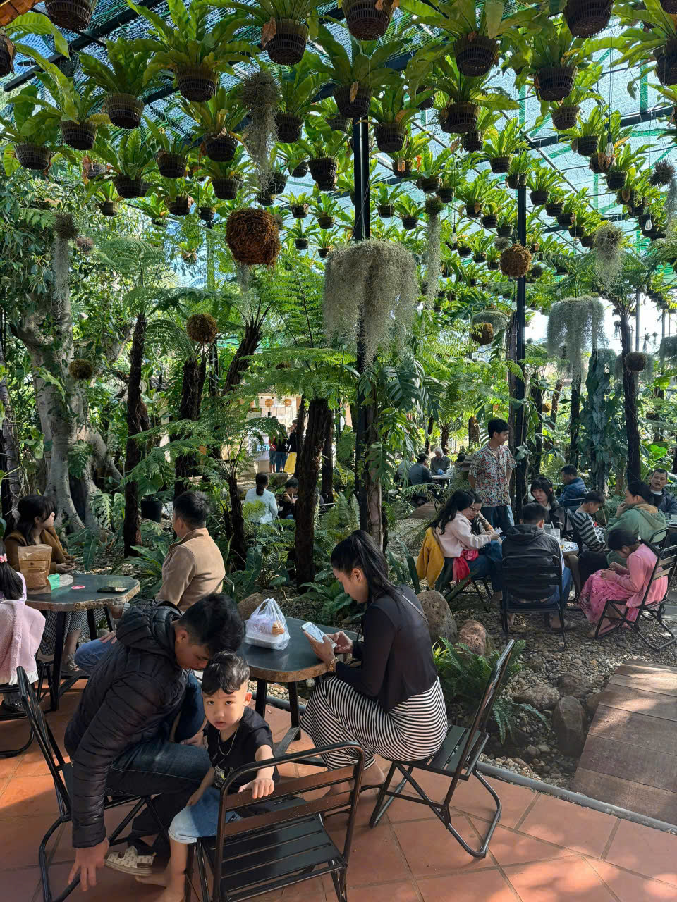 SANG NHƯỢNG QUÁN CAFE SÂN VƯỜN & KHU VUI CHƠI TRẺ EM mô hình hút khách gia đình cực tốt tại khu vực  MAI XUÂN THƯỞNG, BMT-3
