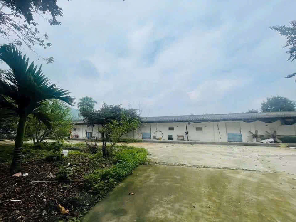 BÁN TRANG TRẠI CHĂN NUÔI QUY MÔ LỚN – PHÚ LƯƠNG, THÁI NGUYÊN-3