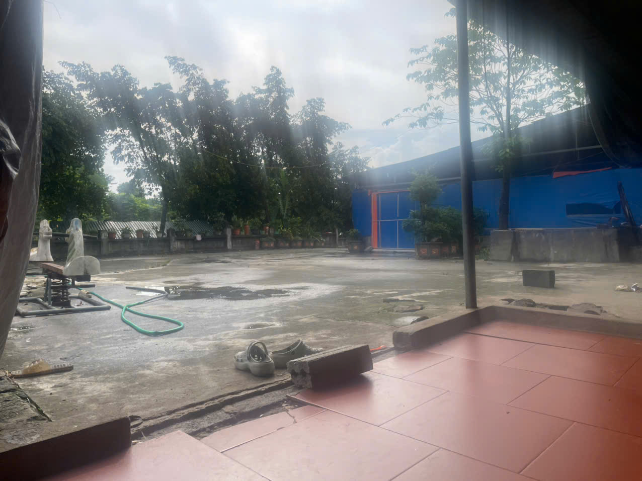 BÁN TRANG TRẠI CHĂN NUÔI QUY MÔ LỚN – PHÚ LƯƠNG, THÁI NGUYÊN-4