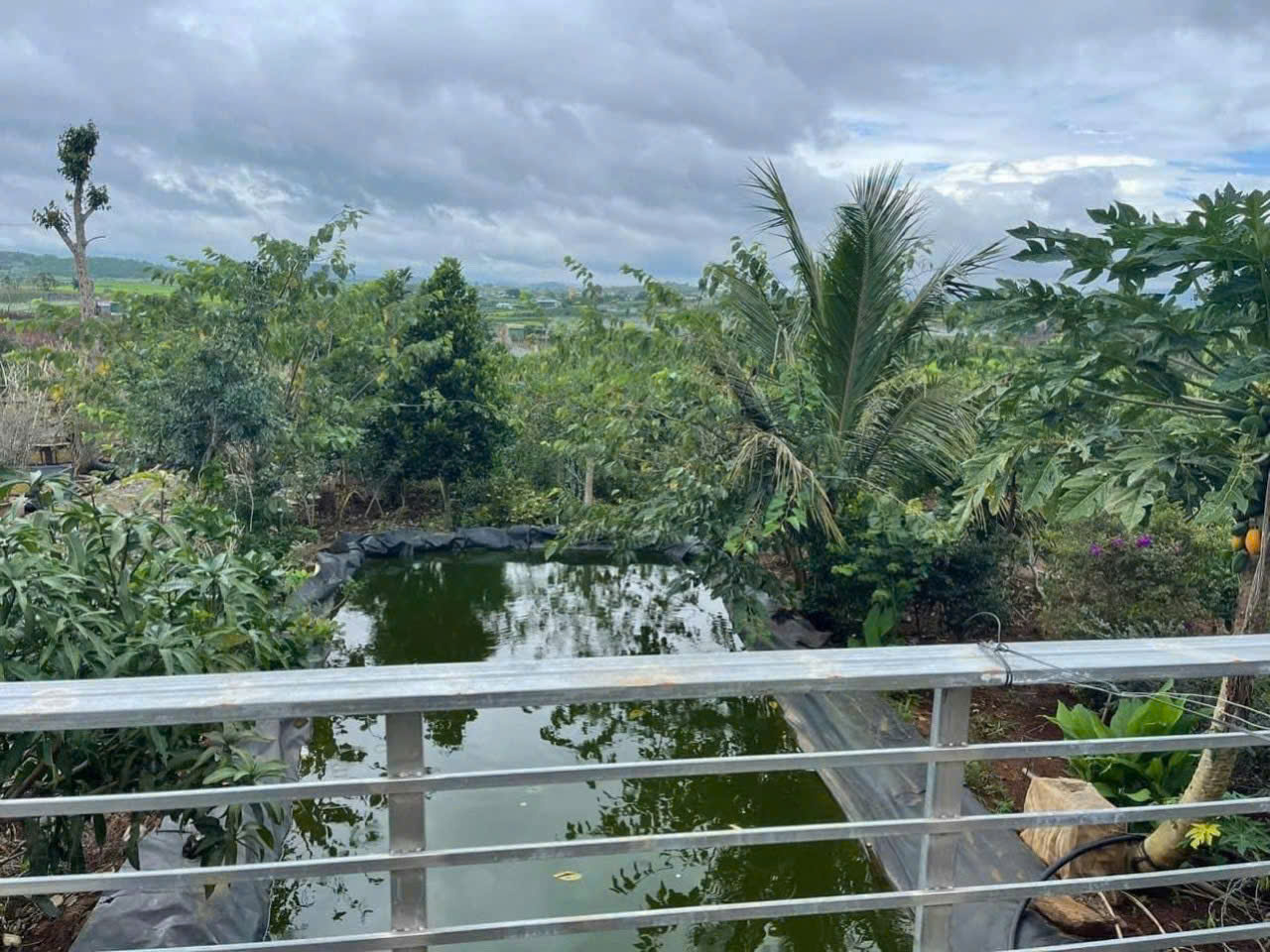 ĐẤT 2 MẶT TIỀN DH1 – 2.200m² – CÓ NHÀ SÀN & VƯỜN CÂY ĂN TRÁI