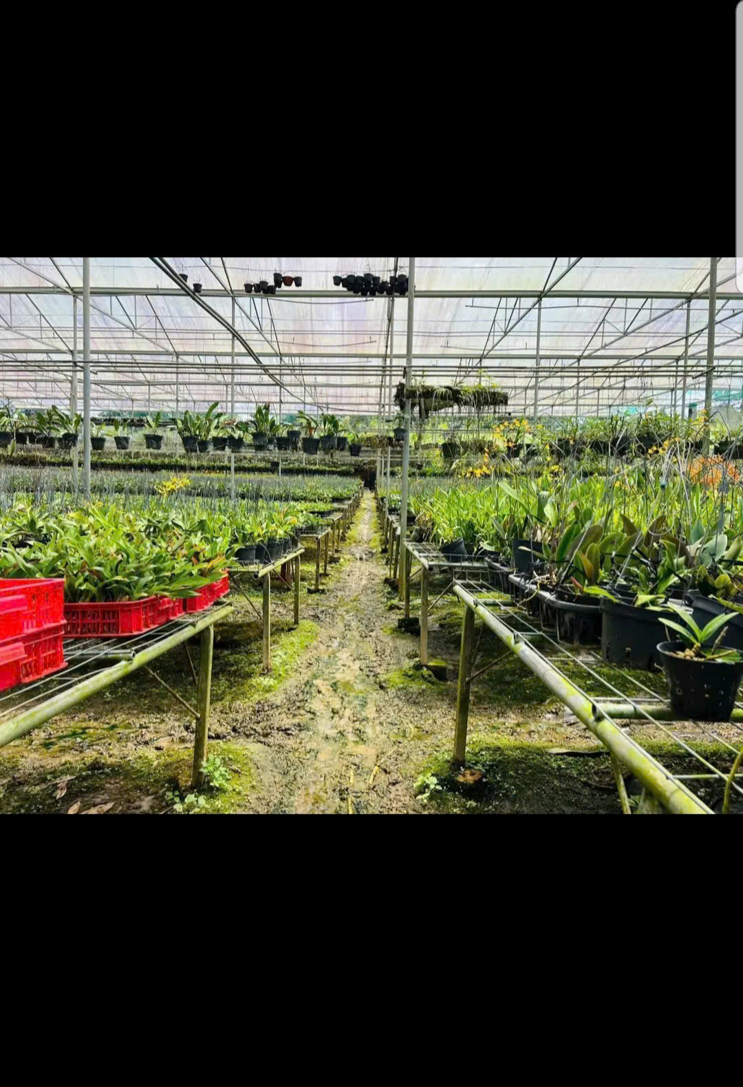 MẶT TIỀN QUỐC LỘ 20 GẦN SÂN BAY LIÊN KHƯƠNG - ĐÀ LẠT GIÁ RẺ