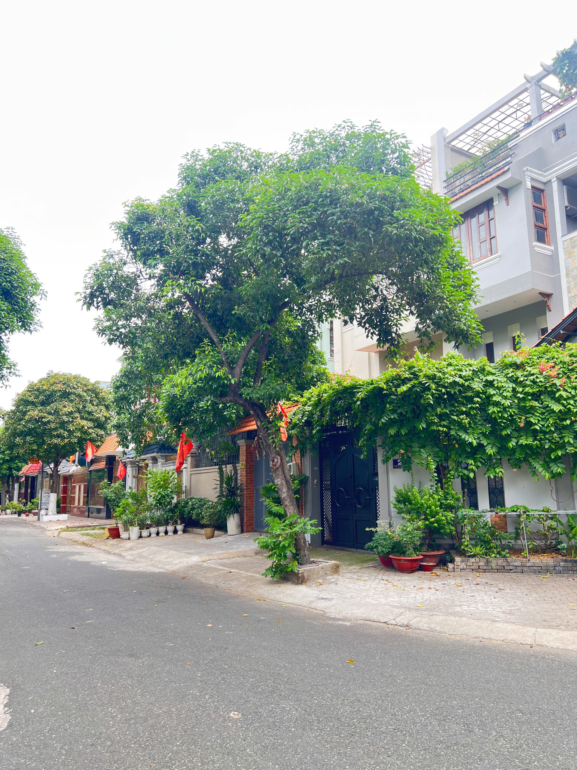 Nhà 4 tầng Mặt tiền đường khu gần ParcMall Q8 Cao Lỗ P4 P.Chánh Hưng. Giá: 13.5 tỷ-3