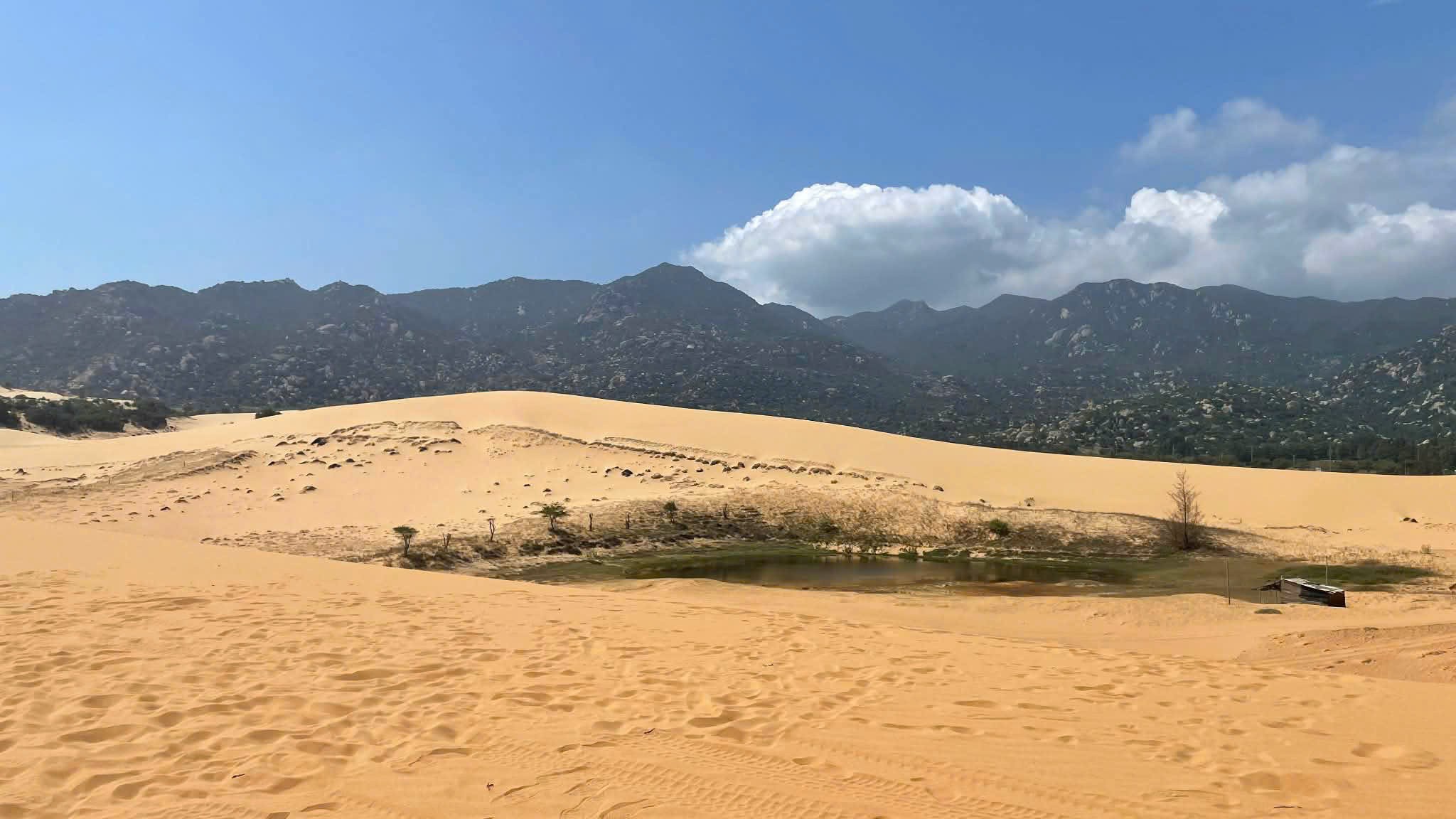 ĐẤT ĐẸP – GIÁ ĐẦU TƯ – BÁN ĐẤT TẠI THÔN SƠN HẢI 2, Phước Dinh, Thuận Nam, Ninh Thuận