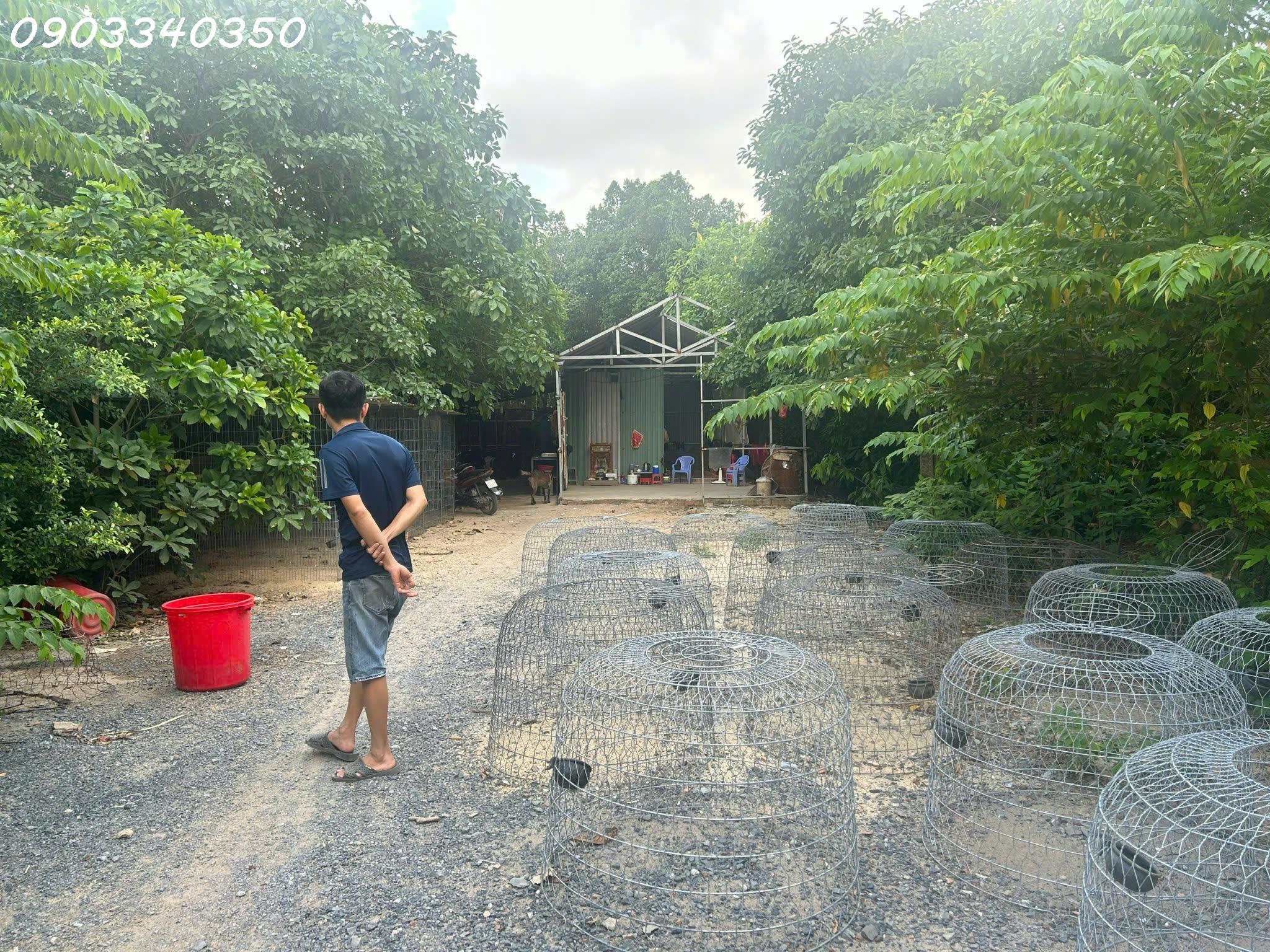 Bán lô đất siêu đẹp mặt tiền đường nhựa Nhị Bình 18, Hóc Môn, HCM, DT 1903,4m2. giá đầu tư