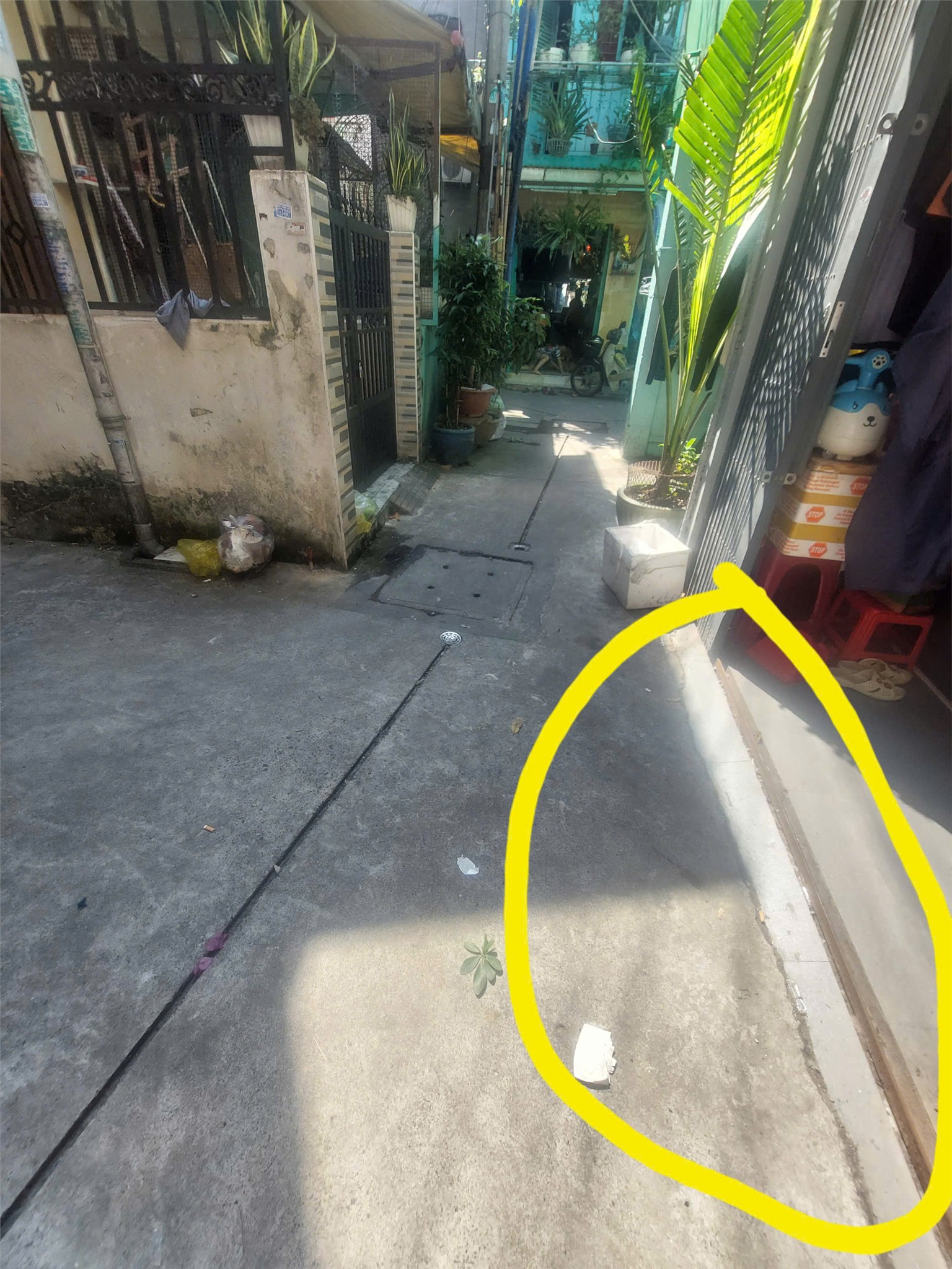 NHÀ RẺ QUẬN 11, LÊ THỊ BACH CÁT, GẦN LÊ ĐẠI HÀNH, DT 31M2, GIÁ 1,9 TỶ-1