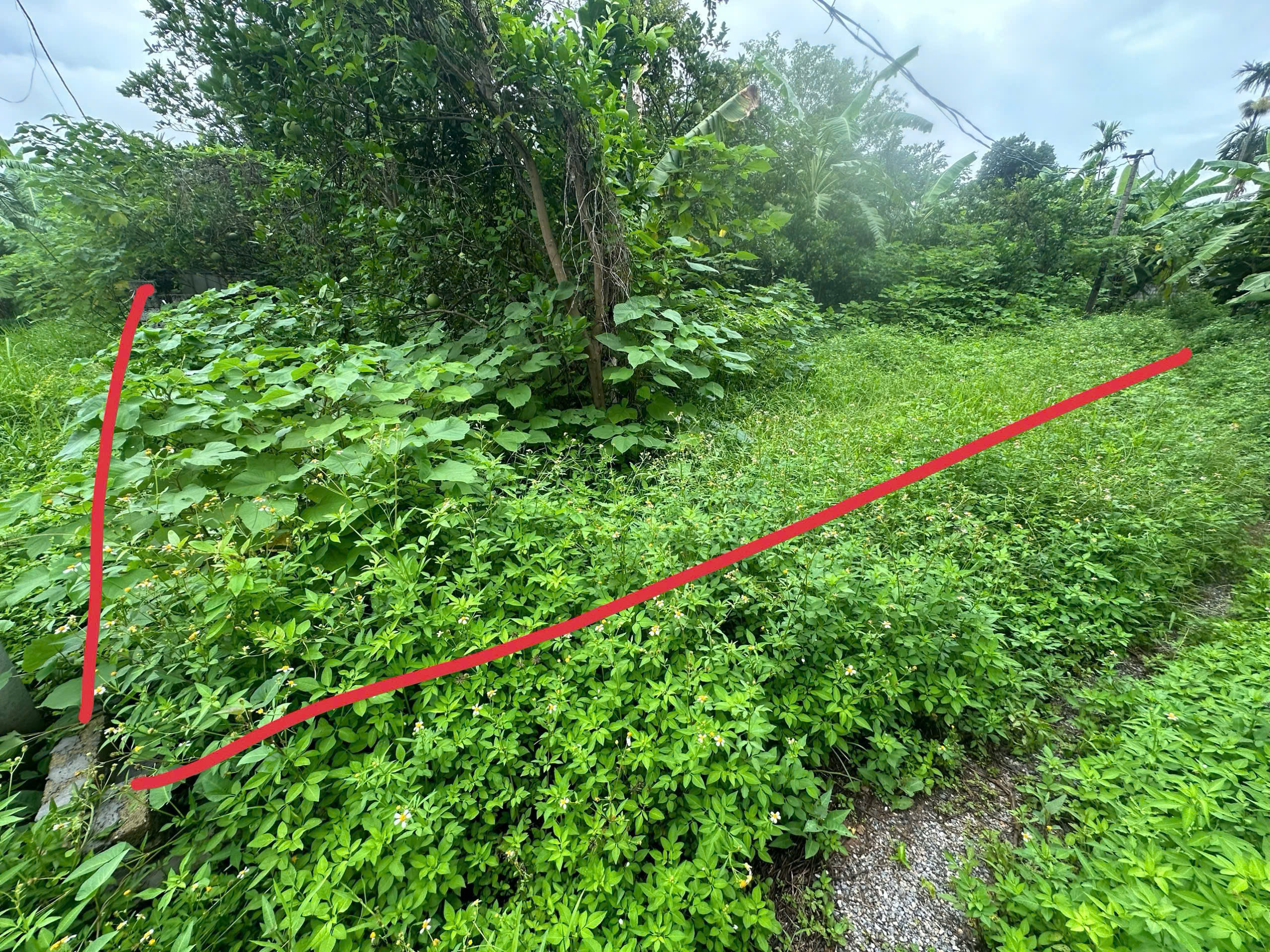 Đất Phú Xuyên. Bán lô góc 214m đất phân được tại Duyên Yết, Phú Xuyên