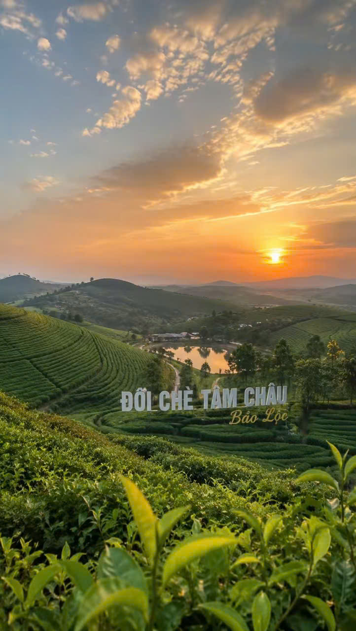 BÁN GẤP VILLAS GẦN ĐỒI CHÈ TÂM CHÂU - CHUẨN NGHĨ DƯỠNG - TRẢ TRƯỚC 1.2 TỈ NHẬN NGAY CHÌA KHÓA-2