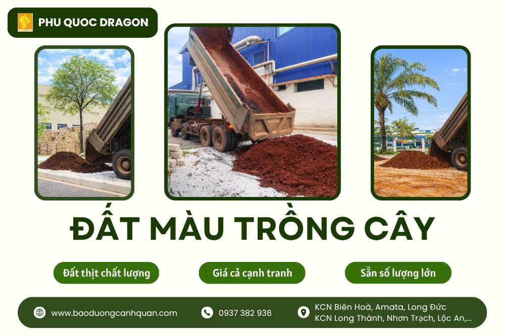 🌱 Bán đất màu trồng cây chất lượng, giá tốt, giao hàng nhanh khu vực Đồng Nai