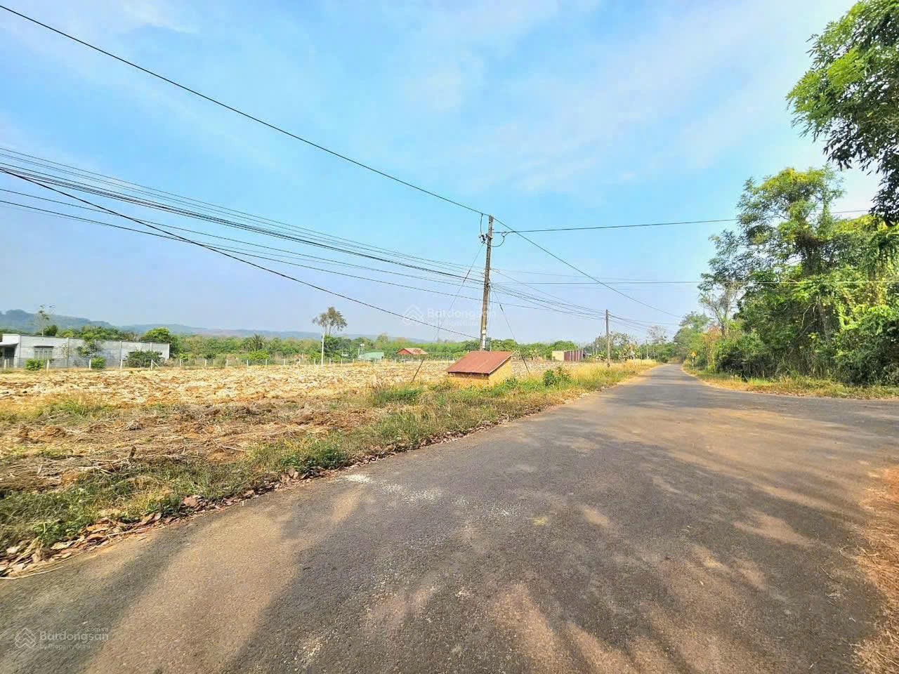 HOT HOT–CHÍNH CHỦ CẦN BÁN ĐẤT TẠI KP Sóc Bưng, đường 13, phường Phú Thịnh, TX.Bình Long, Bình Phước-3