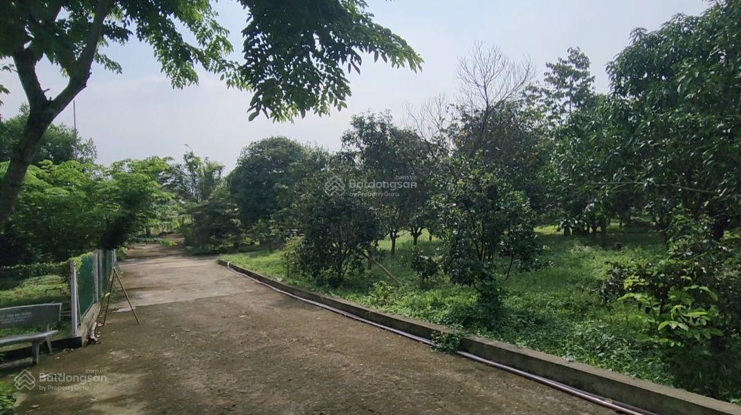 Nhà vườn sinh thái nghỉ dưỡng camping hoặc văn phòng công ty