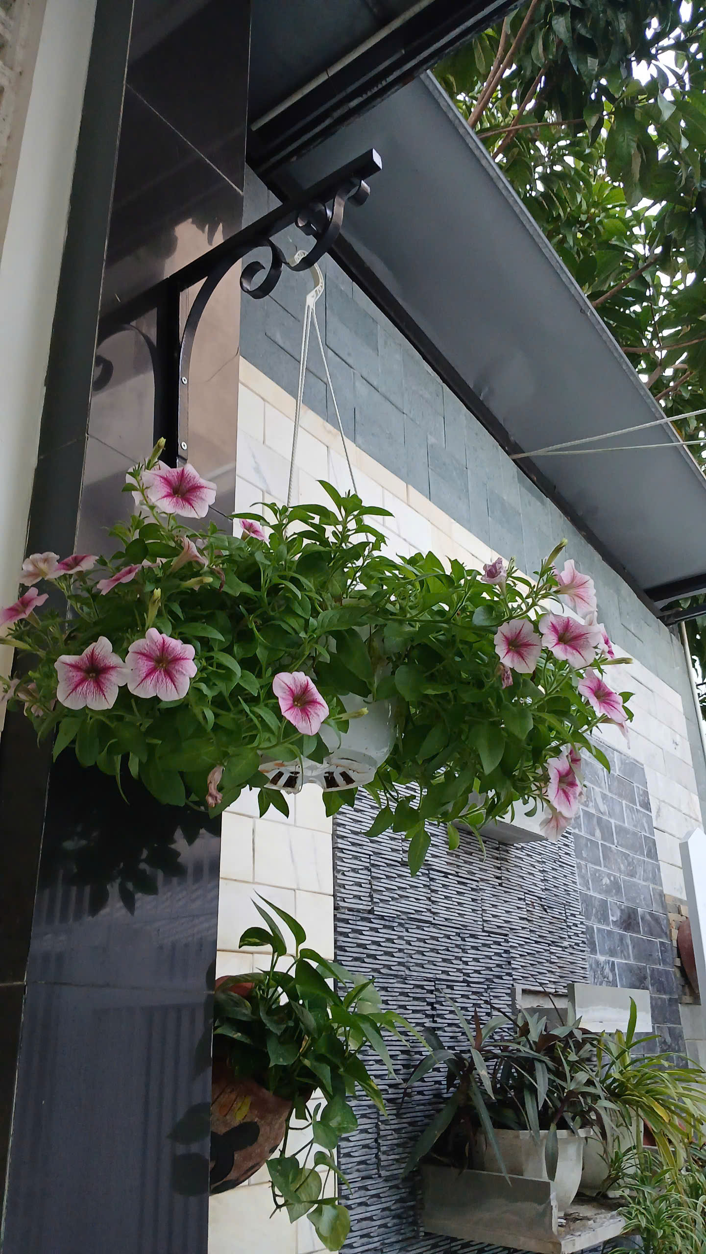 #  Thẳng 25m ra MT Trần Xuân Lê, 135m2, ngang 6m, vuông, sân rộng sạch đẹp, 4.x tỷ