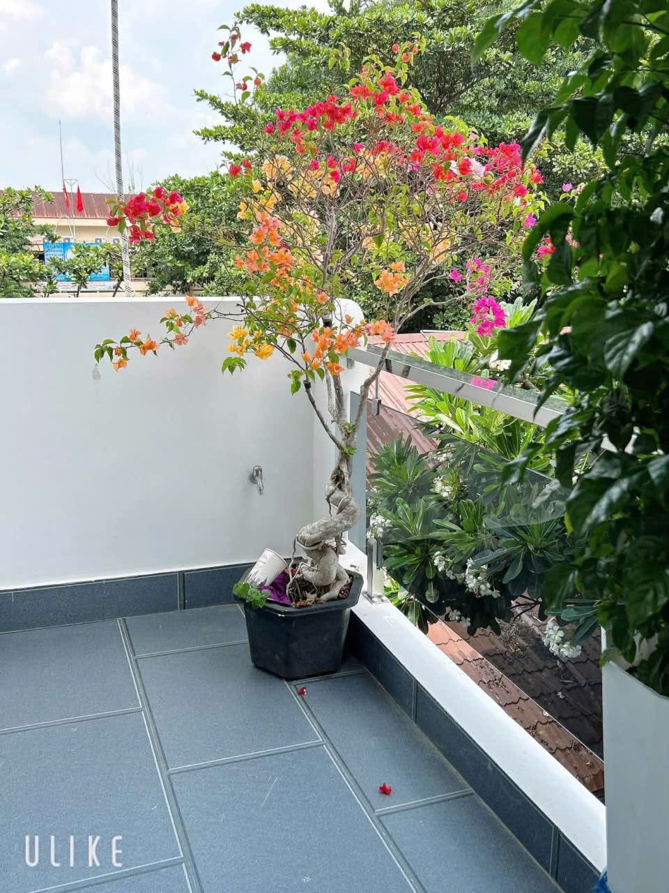 Chính chủ gửi bán nhà đẹp hẻm xe hơi đậu cửa - Phường Tân Thới Hiệp - Nhà mới, full tiện nghi-4