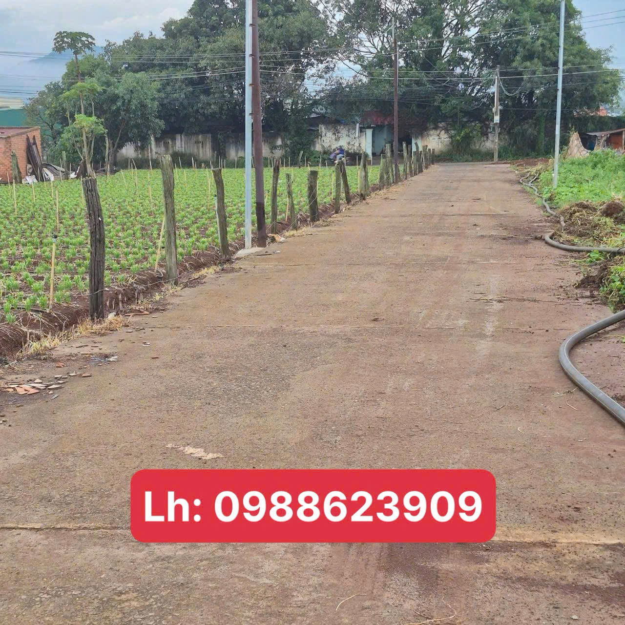 Bán 131m2 đất tổ 34 Liên Nghĩa Đức Trọng Lâm Đồng 1,5 tỷ