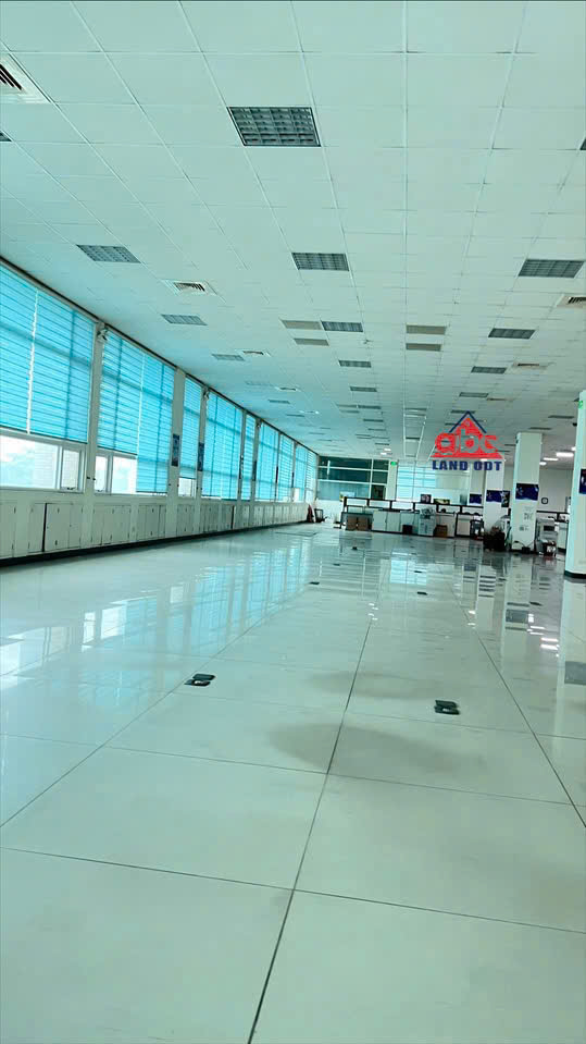 XT168 Cho Thuê nhà xưởng SX linh hoạt nhiều ngành nghề, tập chung nhiều DN FDI.