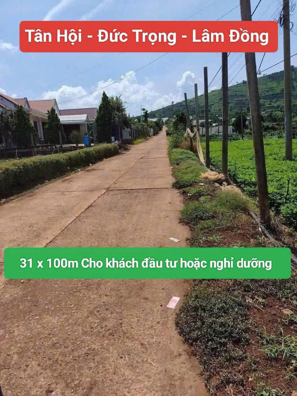 Bán 3120m2 đất xã Tân Hội Đức Trọng Lâm Đồng 4 tỷ-3