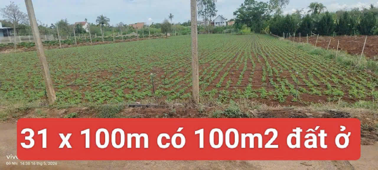 Bán 3120m2 đất xã Tân Hội Đức Trọng Lâm Đồng 4 tỷ-4