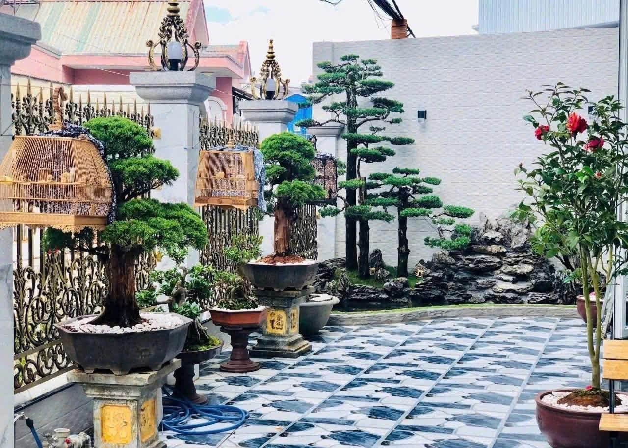 Cho thuê nhà nguyên căn 13 phòng Nguyễn Trung Trực P4 Đà Lạt 30tr-3