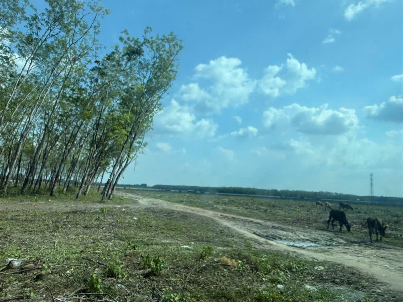 SIÊU PHẨM (46x110) 2MT CỦ CHI – 4.500m², THỔ CƯ 2.600m², CHỈ 8 TRIỆU/m²-3