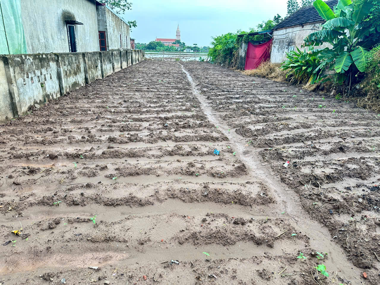 ĐẤT ĐẸP- GIÁ TỐT BÁN NHANH LÔ ĐẤT ĐẦU TƯ LÀ SINH LỜI TẠI huyện Kim Sơn tỉnh Ninh Bình-3