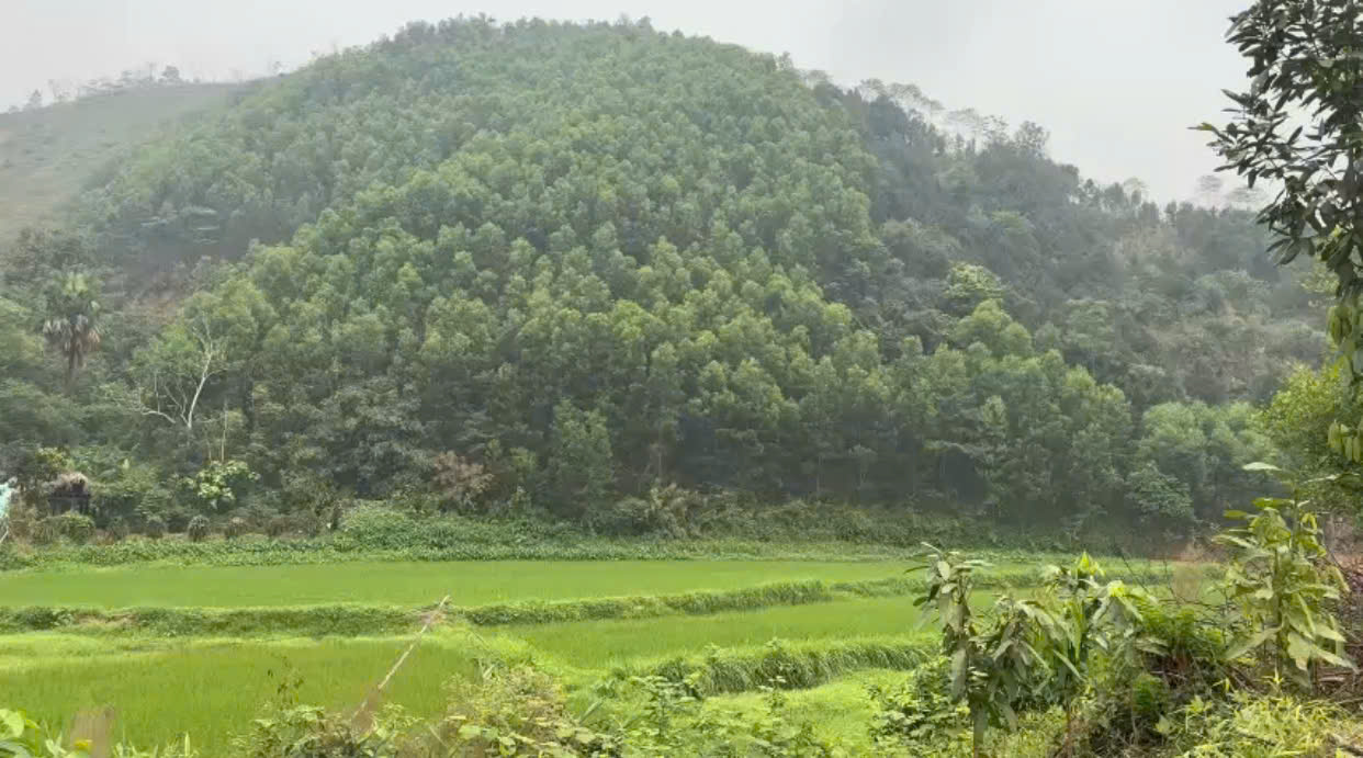 CẦN BÁN NHANH LÔ ĐẤT CHÍNH CHỦ TẠI TÂN DƯƠNG, ĐỊNH HÓA, THÁI NGUYÊN